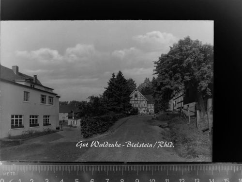 51674 W5276 Bielstein , Rheinl GLASNEGATIV Gut Waldruhe