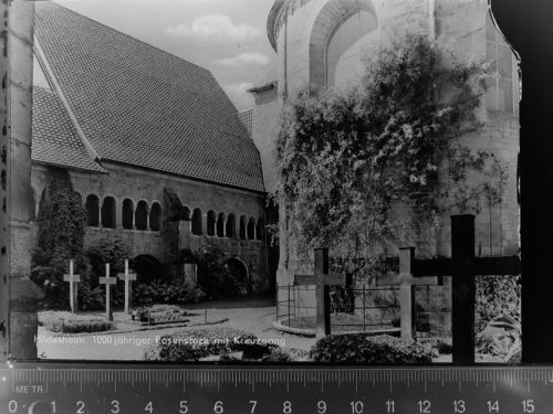 Hildesheim 1000 jähriger Rosenstock m. Kreuzgang