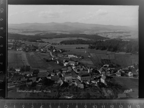 94253 W8379 Bischofsmais GLASNEGATIV