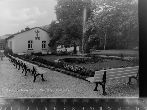 Daun Badehaus Stadt Baum