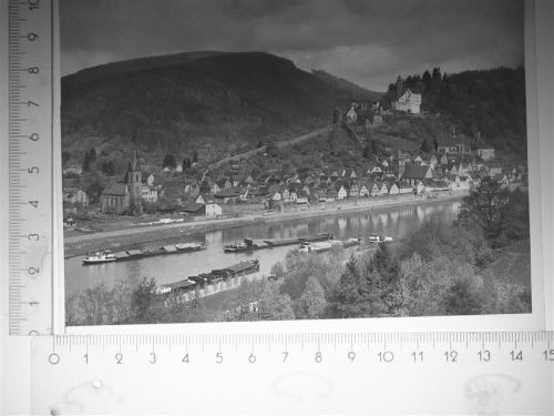 Hirschhorn Schiffe