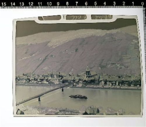 Zell