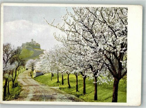 Usti nad Labem Burg Schreickenstein Photochromie
