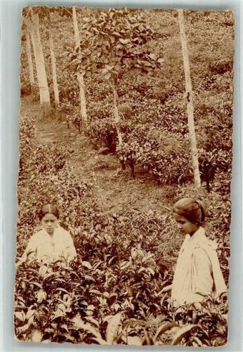 Zwei asiatische Kinder in einer Plantage in Garoet Ort lt. Fotograf