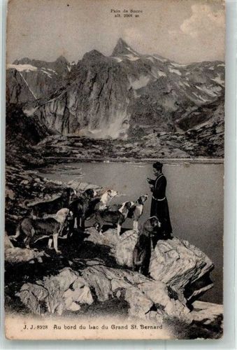 Mönch am Rand vom Lac du Grand Bernard