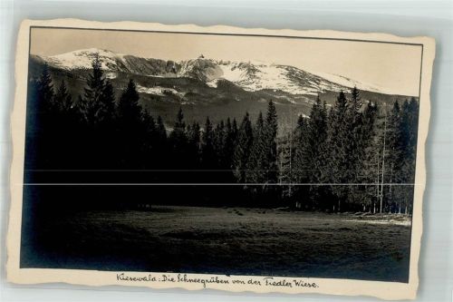 Kiesewald Riesengebirge