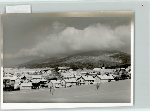 Arnbruck Winter