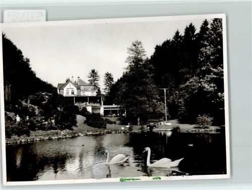 W5455 Hardert Teich Schwäne Obere Mühle Mühle FOTO KEINE AK