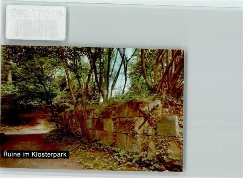Heidmühle Ruine im Klosterpark