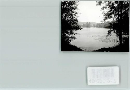 Volpriehausen See