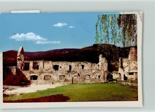 Hardenburg Ruine