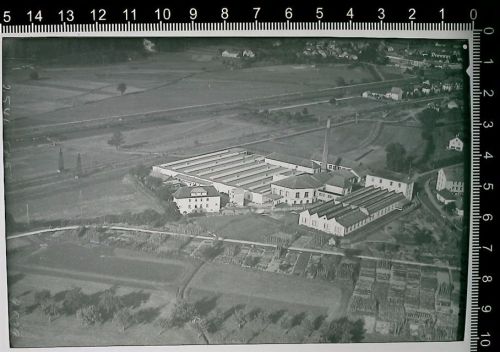Steinen