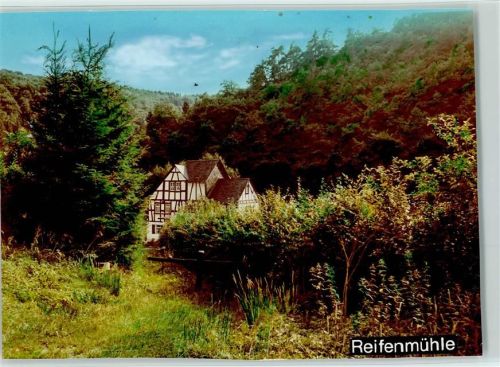 Kastellaun Reifenmühle