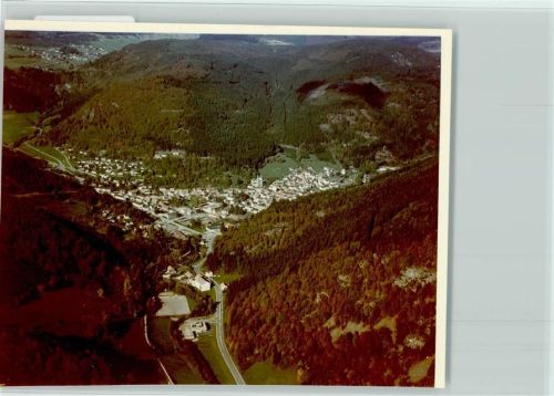 Todtnau Luftaufnahme