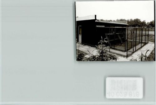 Bocholt Tierheim