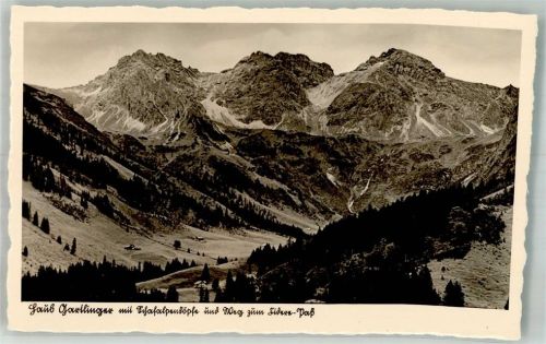 Mittelberg Pension Gartlinger Schafalpenköpfe