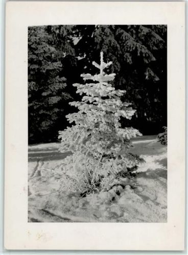 Frohe Weihnachten