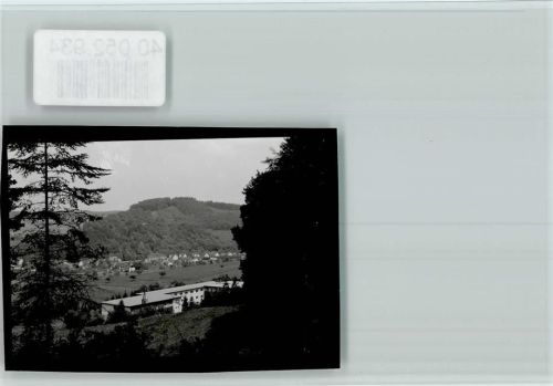 Elzach Ortsansicht
