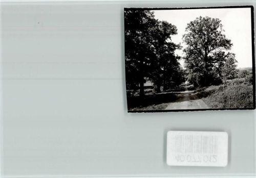 Neuhaus Baumallee