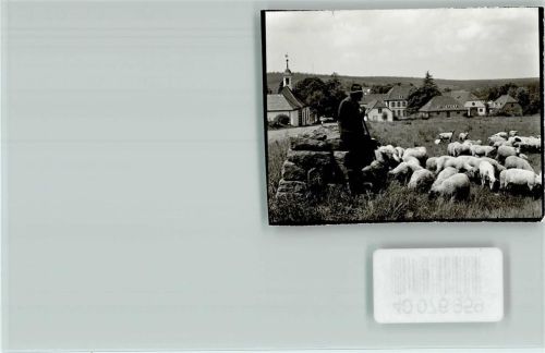 Neuhaus Schäfer mit seiner Schafherde
