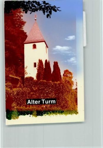 Bammental Alter Turm