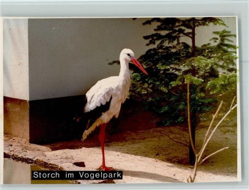 Viernheim Storch