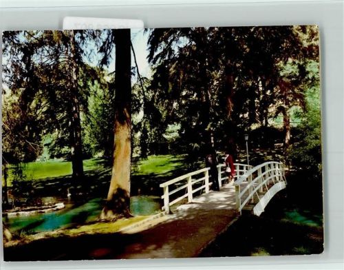Bad Schwalbach Brücke im Park