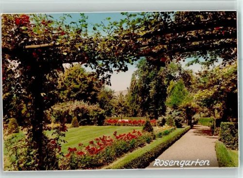 53489 W5485 Sinzig , Rhein FOTO KEINE AK Rosengarten