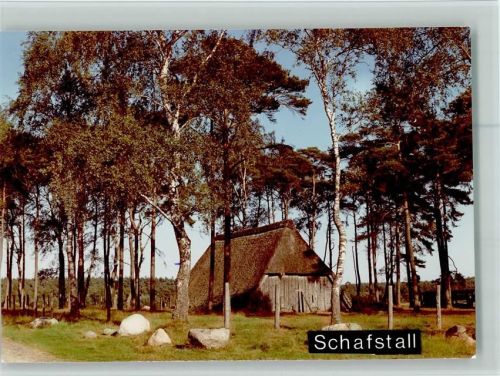 Bispingen Schafstall