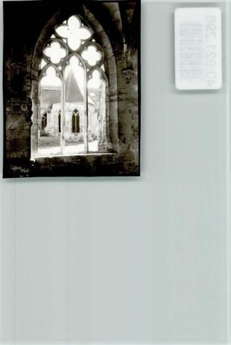 Walkenried Zisterzienser Kloster Fenster