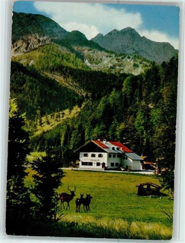 Bayrischzell Forstgasthof Zipflwirt mit Sonnwendjoch Hirsch Rehe