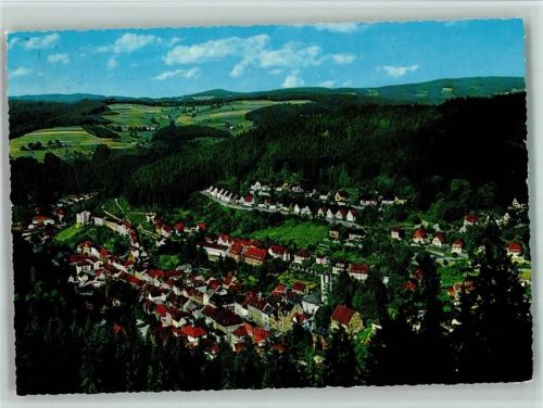 Triberg Luftaufnahme