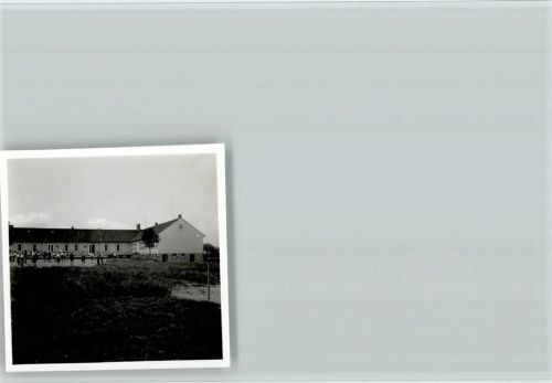 Borgloh Foto