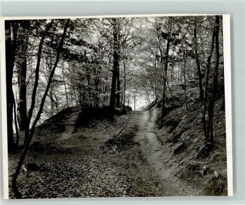 Brochterbeck Foto TK80