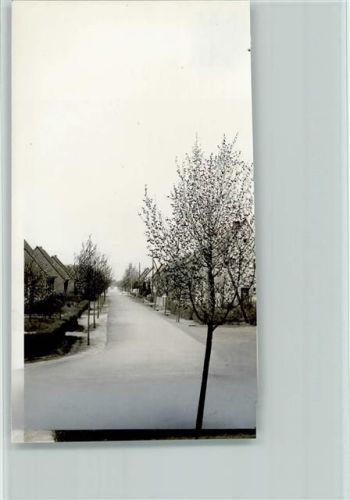 St. Arnold Foto