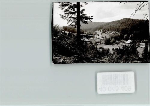 Hinterzarten Ortsansicht