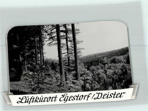 Egestorf