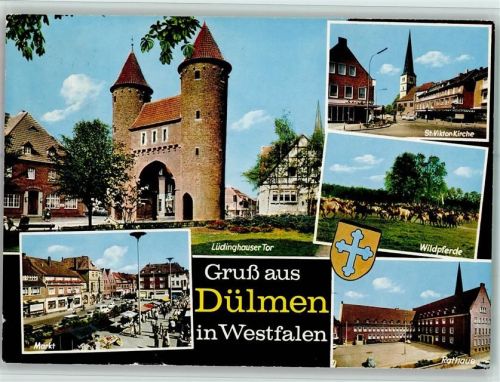 Dülmen Lüdinghauser Tor Marktszene Markt St.-Viktor-Kirche Wildpferde Rathaus