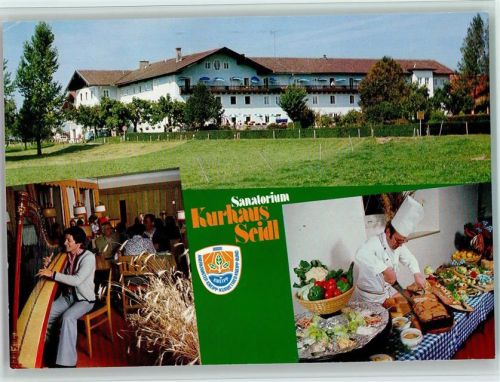Teisendorf Harfenspieler Koch am Buffett Kurhaus Seidl