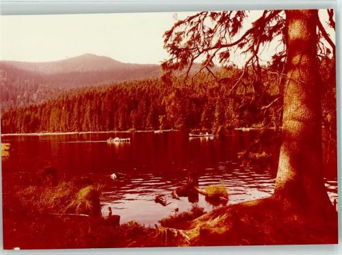 Bodenmais Arbersee