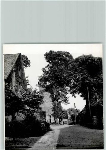 Schapdetten Foto