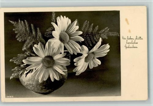 Gerbera in der Vase AKU2