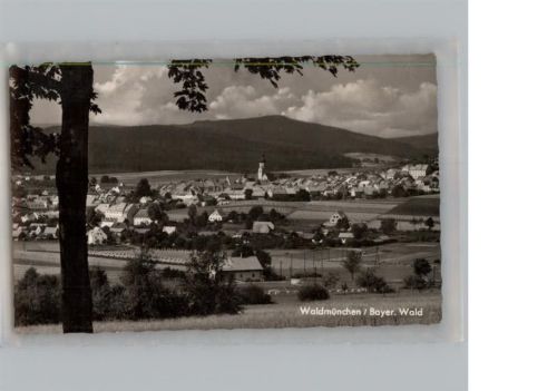 Waldmünchen