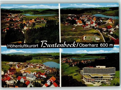 Buntenbock