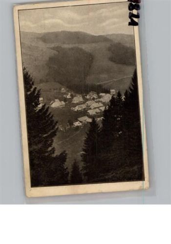 Menzenschwand