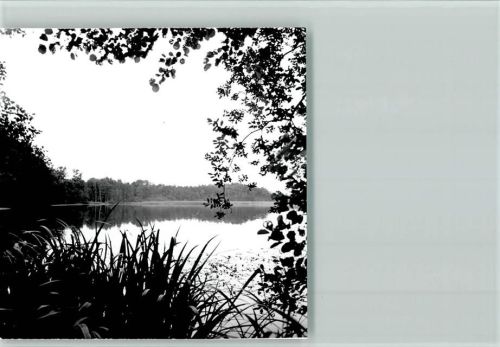 Hörstel Foto