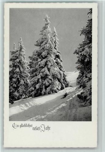 Verschneiter Winterwald