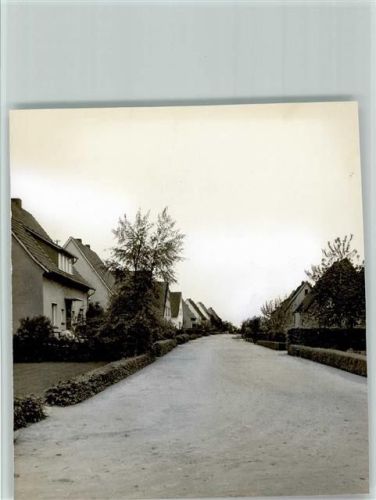 Lette Foto