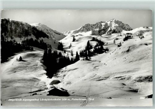 Fieberbrunn Skigelände Alpengasthof Lärchfilzhochalm Winter AKU2