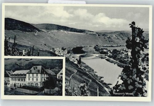 Piesport Gasthaus zur schönen Aussicht